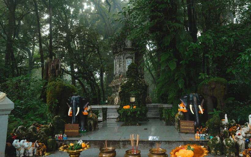 Chiang Mai: Doi Inthanon National Park Sightseeing Only - The guide factor: how sightseeing-focused trips can feel