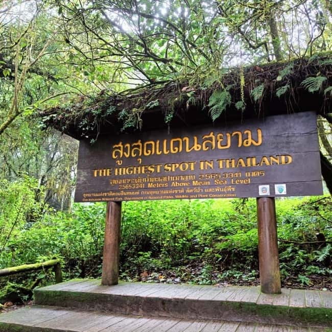 Chiang Mai: Doi Inthanon National Park+Trek Pha Dok Siew - Doi Inthanon National Park: Thailand’s high-altitude day