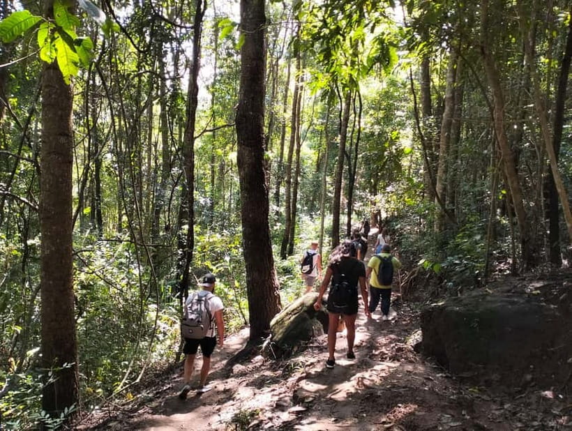 Chiang Mai: Doi Inthanon National Park+Trek Pha Dok Siew - Pha Dok Siew Nature Trail: what “moderate” really feels like