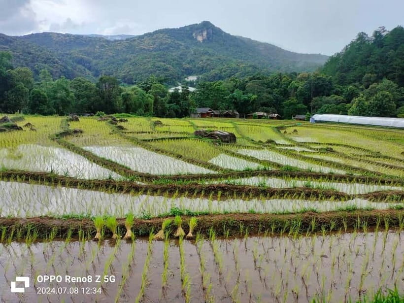 Chiang Mai: Doi Inthanon National Park+Trek Pha Dok Siew - Rak Jung Waterfall: when swimming is worth it