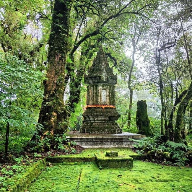 Chiang Mai: Doi Inthanon National Park+Trek Pha Dok Siew - King and Queen Pagodas: gardens plus the big viewpoint factor