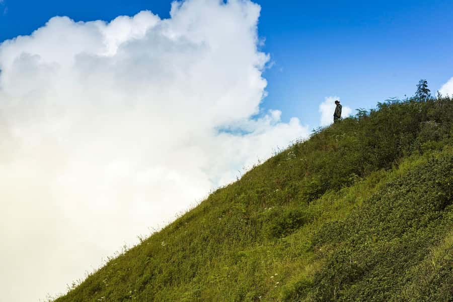 Chiang Mai: Doi Inthanon National Park, Waterfall & Lunch - Who this Chiang Mai day trip fits best