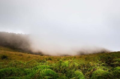 Chiang Mai: Doi Inthanon National Park, Waterfall & Lunch - Pickup and transport: how the logistics affect your energy