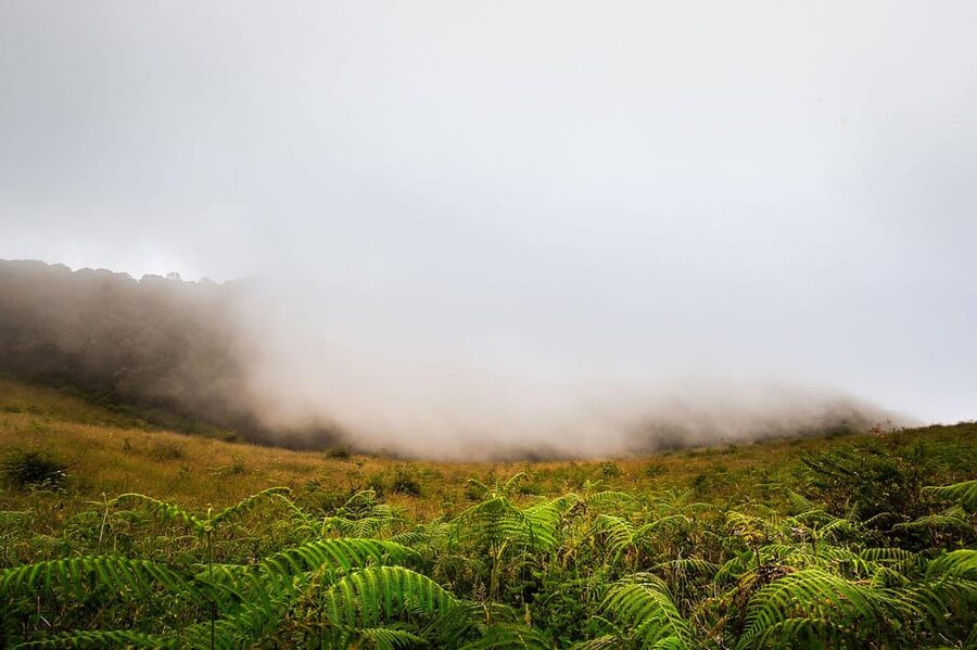 Chiang Mai: Doi Inthanon National Park, Waterfall & Lunch - Lunch, water, and the little details you’ll actually feel