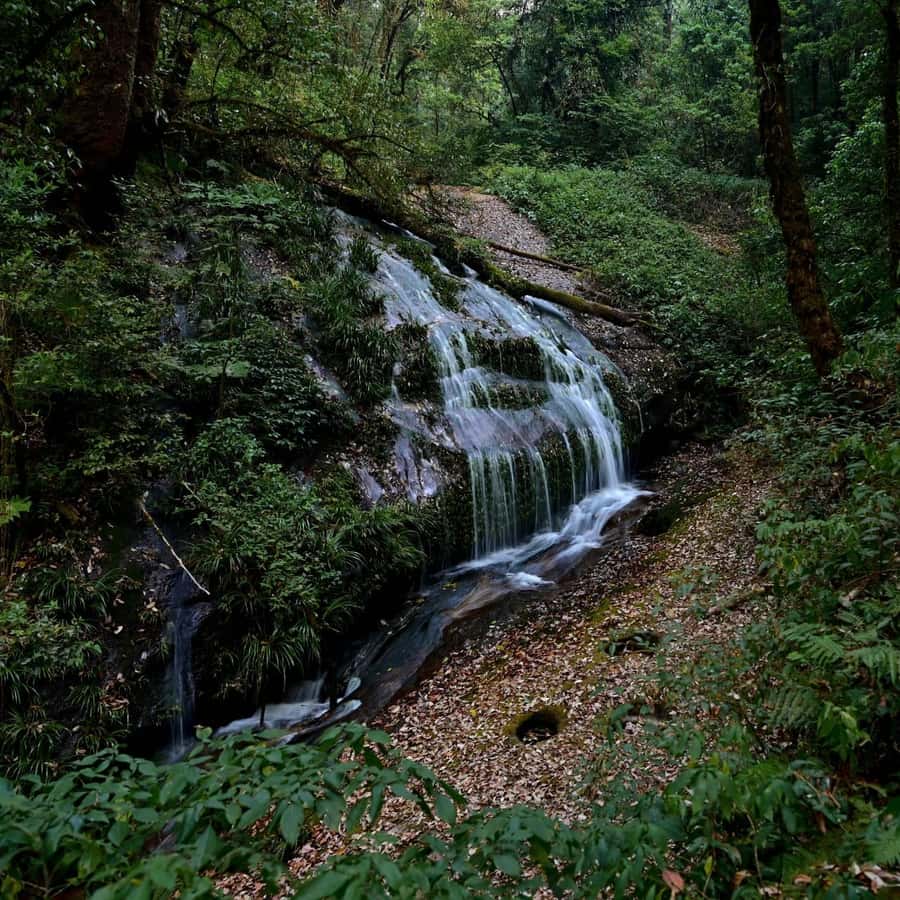 Chiang Mai: Doi Inthanon National Park, Waterfall & Lunch - Price and value: what you’re really paying for