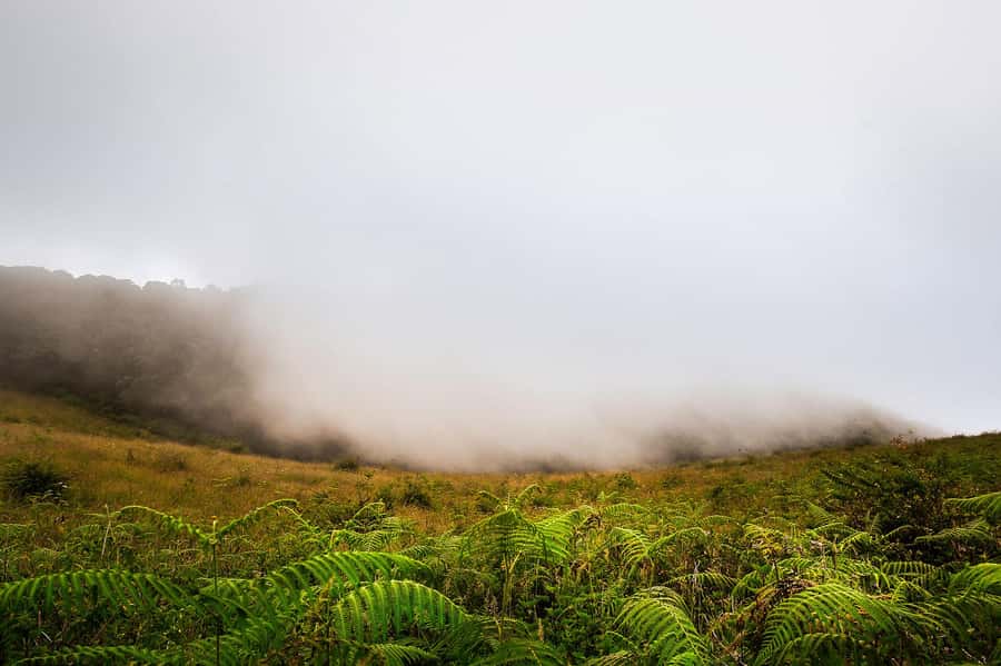 Chiang Mai: Doi Inthanon National Park, Waterfall & Lunch - Pickup and transport: how the logistics affect your energy
