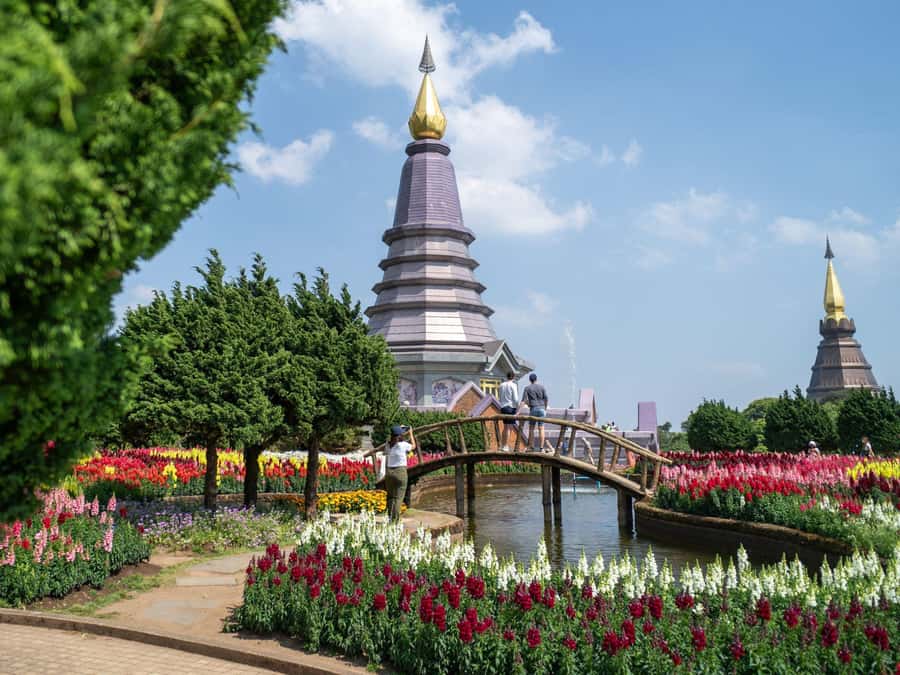 Chiang Mai: Doi Inthanon National Park with Ticket & Lunch - Key highlights that make this day trip worth it