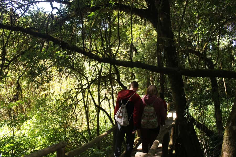 Chiang Mai: Doi Inthanon National Park with Ticket & Lunch - Vachiratharn Waterfall: the payoff stop on the way back down