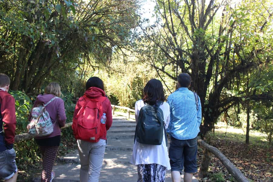 Chiang Mai: Doi Inthanon National Park with Ticket & Lunch - Ang Ka Nature Trail: short rainforest walking with real atmosphere