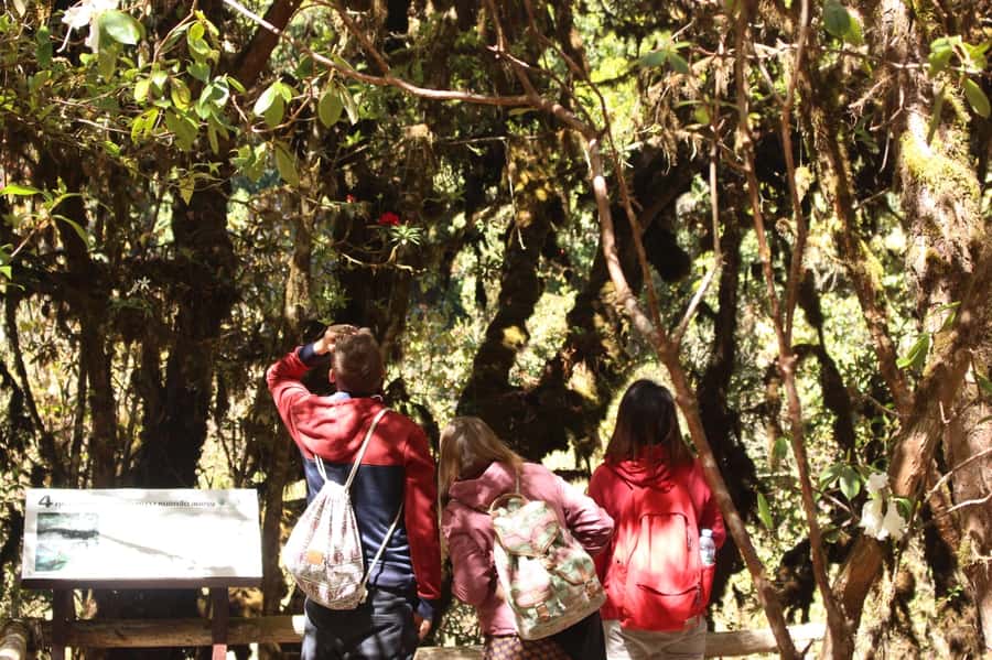 Chiang Mai: Doi Inthanon National Park with Ticket & Lunch - Inthanon Royal Project lunch: included set menu in a mountain setting