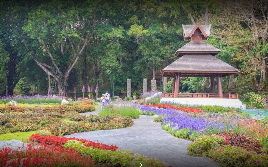 Chiang Mai: Doi Suthep National Park Leisure Hiking & Biking - The mountain bike ride: downhill fun with a real road element