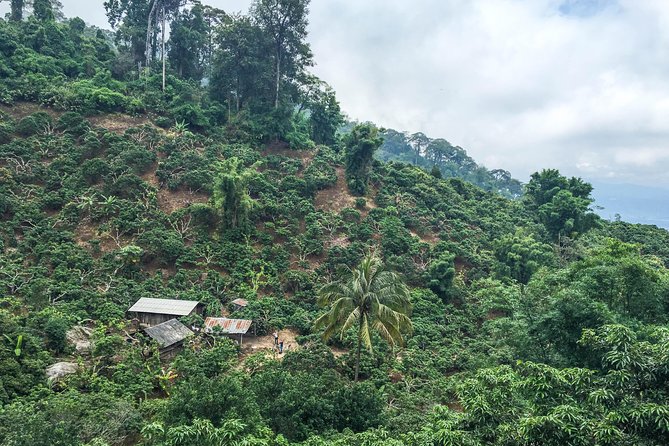 Chiang mai Hike & Downhill Bike Adventure –Suthep National Park - What’s included (and why it matters on a busy adventure day)