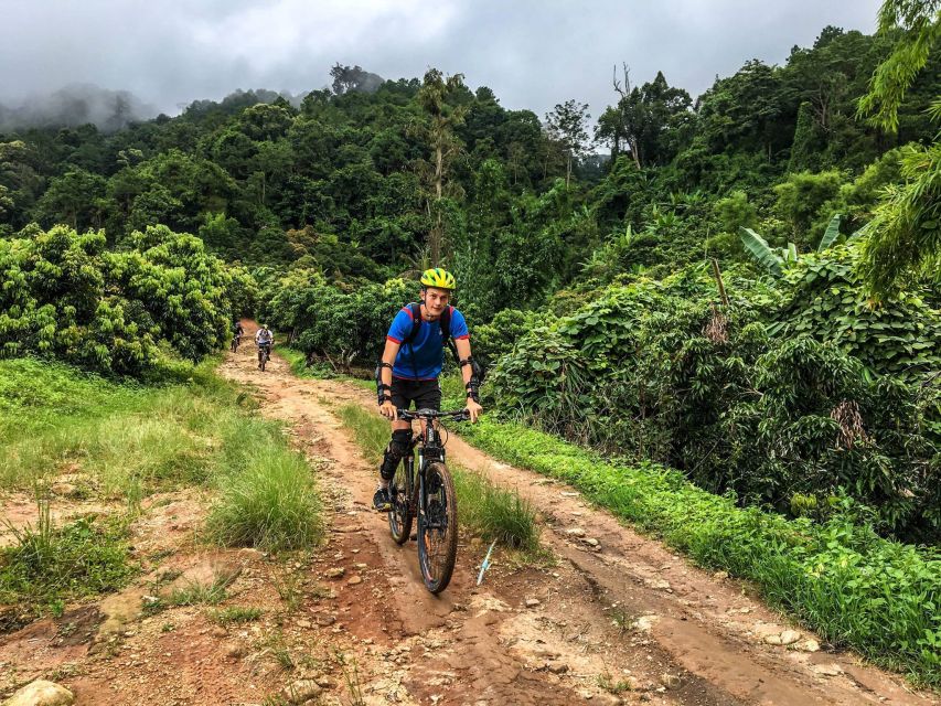 Chiang Mai: Suthep National Park Hiking & DH Mountain Biking - Why This Chiang Mai Hike-and-MTB Day Feels Like Two Trips