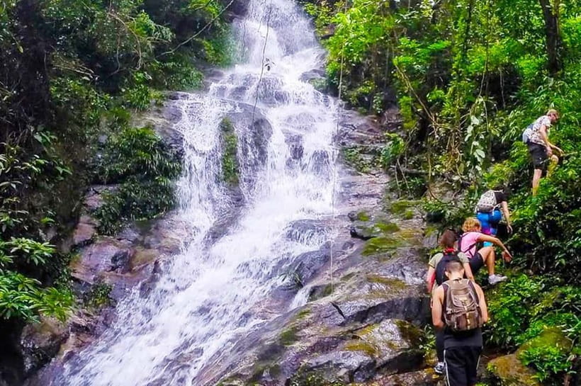 Chiang Mai: Suthep National Park Hiking & DH Mountain Biking - Price and Value: What $62 Actually Buys You
