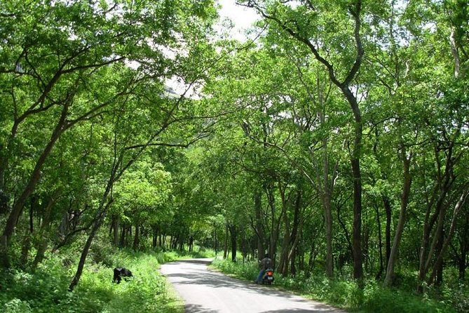 Chinnar Wild-life Visiting Tour (Eravikulam National Park) - Lakkam Waterfalls and Thoovanam Falls: Short Stops That Still Feel Worth It