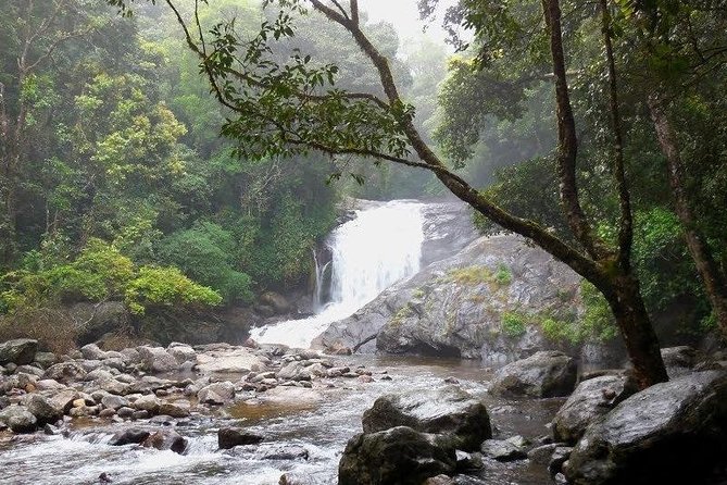 Chinnar Wild-life Visiting Tour (Eravikulam National Park) - Getting Around, Timing, and What to Bring