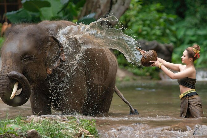 Chitwan National Park Tour - Why This Chitwan Tour Works Better Than a Quick Day Trip