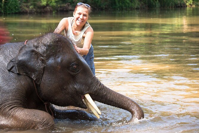 Chitwan National Park Tour - Day 2: Canoe Trip, Jungle Walk, Jeep Safari, Plus an Evening Program
