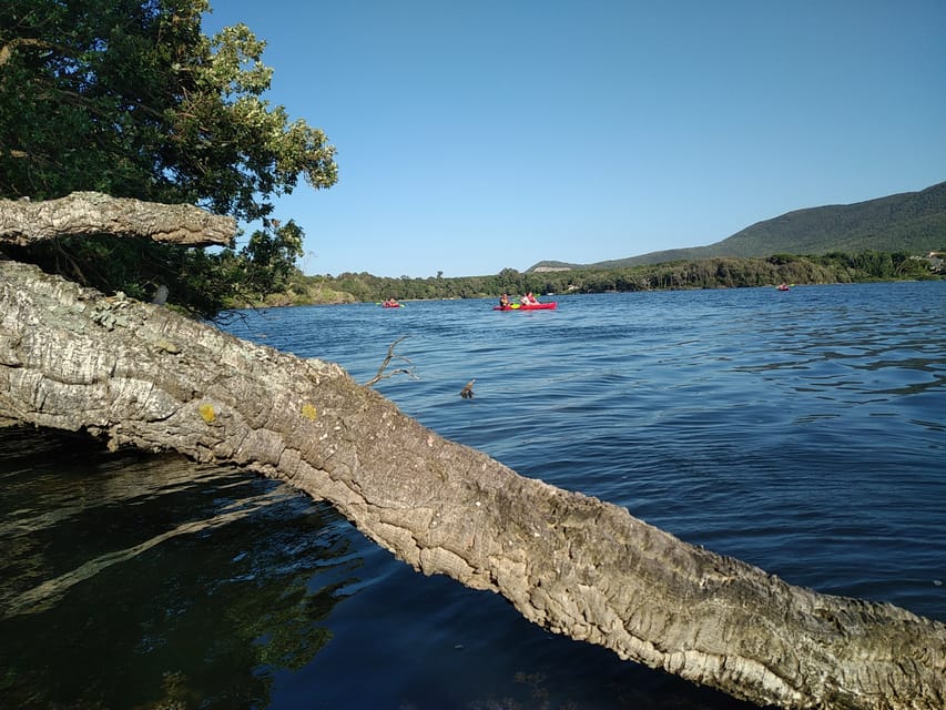 Circeo National Park:Guided kayak tour on the Lake Sabaudia - Kayaking for 105 Minutes: Quiet Water, Real Technique, Good Variety