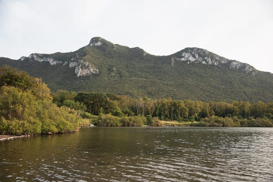Circeo National Park:Guided kayak tour on the Lake Sabaudia - What You’ll Do at the Photo Stop (and How to Prepare for It)