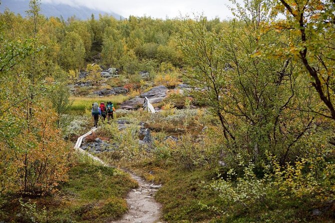 Classic Wilderness Skiing in the Pyhä-Luosto National Park - Key highlights worth planning around