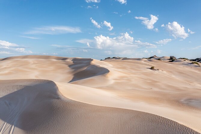 Coffin Bay National Park Half-day 4WD Tour - Key highlights you should know before you go