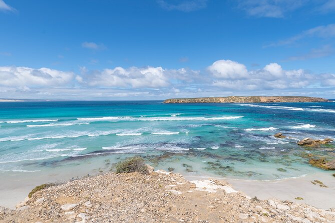 Coffin Bay National Park Half-day 4WD Tour - Coffin Bay National Park: turquoise water, limestone edges, and Golden Island views