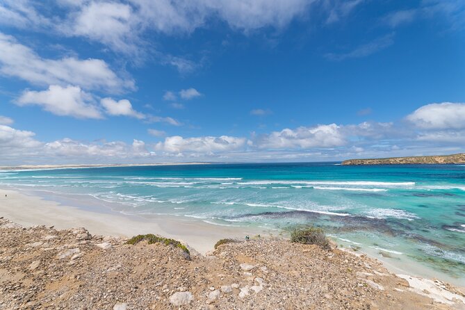 Coffin Bay National Park Half-day 4WD Tour - What the 4WD driving feels like on the sand dunes