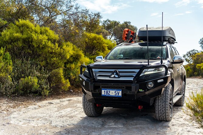 Coffin Bay National Park Half-day 4WD Tour - Golden Island lookout and birdlife: how the “bird-eye view” pays off
