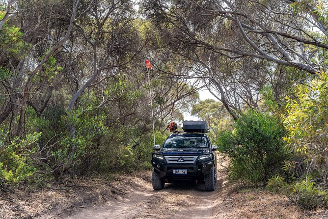 Coffin Bay National Park Half-day 4WD Tour - What’s included (and what you’ll need to bring)