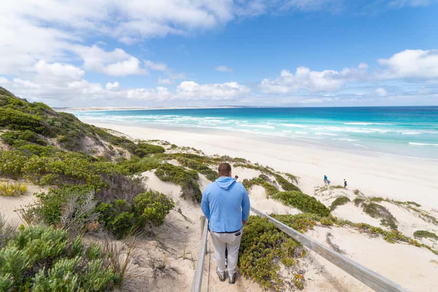 Coffin Bay National Park: Highlights and Off-Road 4WD Tour - Quick Take: What Makes This Tour Worth Your Time