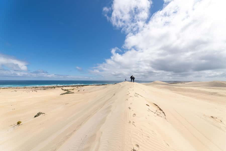 Coffin Bay National Park: Highlights and Off-Road 4WD Tour - Wildlife Spotting with Ben on the Move