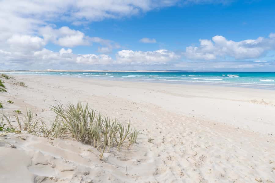 Coffin Bay National Park: Highlights and Off-Road 4WD Tour - Group Size, Timing, and the Real Pace of 4 Hours