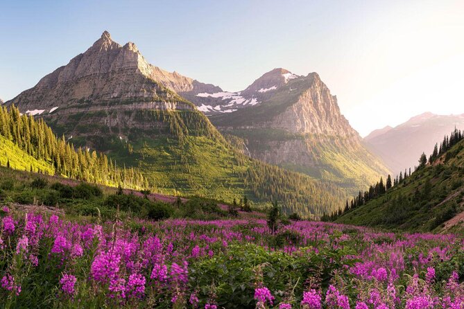 Combo Tour: Driving and Snowshoe Trek of Glacier National Park - Key things that make this tour work