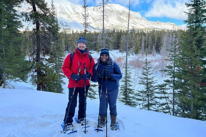 Combo Tour: Driving and Snowshoe Trek of Glacier National Park - West Glacier Setup: 9:00 am Pickup and Small-Group Comfort