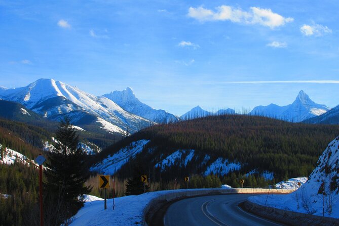 Combo Tour: Driving and Snowshoe Trek of Glacier National Park - Lunch on the Go: Sandwich Choices and Warm Drinks