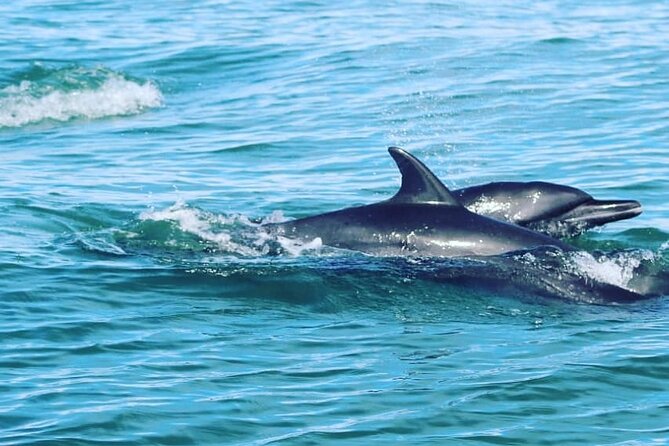 Combo Tour Marino Ballena National Park - Timing, Sea State, and the Comfort Trade-Off
