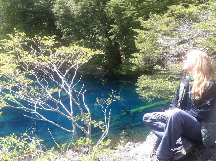 Conguillío National Park Tour, Full day - Laguna Verde and Llaima Volcano: how to enjoy it even when clouds roll in
