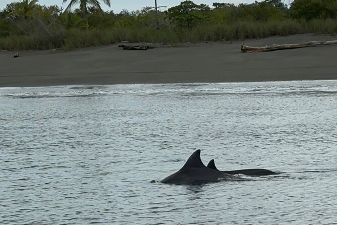 Corcovado National Park: Sirena Day Tour From Puerto Jimenez - Key things that make the Sirena day tour work