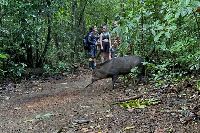 Corcovado National Park: Sirena Day Tour From Puerto Jimenez - Price and value: $190 and what you’re really buying