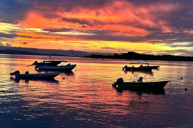 Corcovado National Park: Sirena Day Tour From Puerto Jimenez - Weather matters: how to think about wildlife odds and cancellations