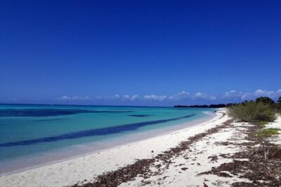 Cozumel National Park and Beach Break: Private Tour - Why the island loop works: panoramic roads and the east-coast “wild” feel