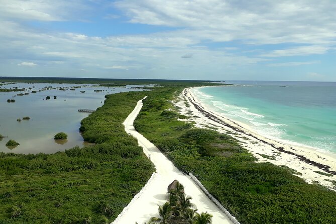 Cozumel National Park and Beach Break: Private Tour - Guides and comfort: why the driver matters on a rough-road day