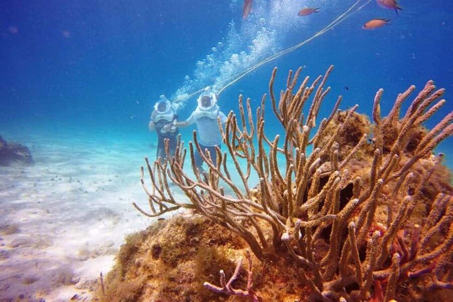 Cozumel: Sea Trek Adventure at Chankanaab National Park - How the Sea Trek helmet makes reef time easy