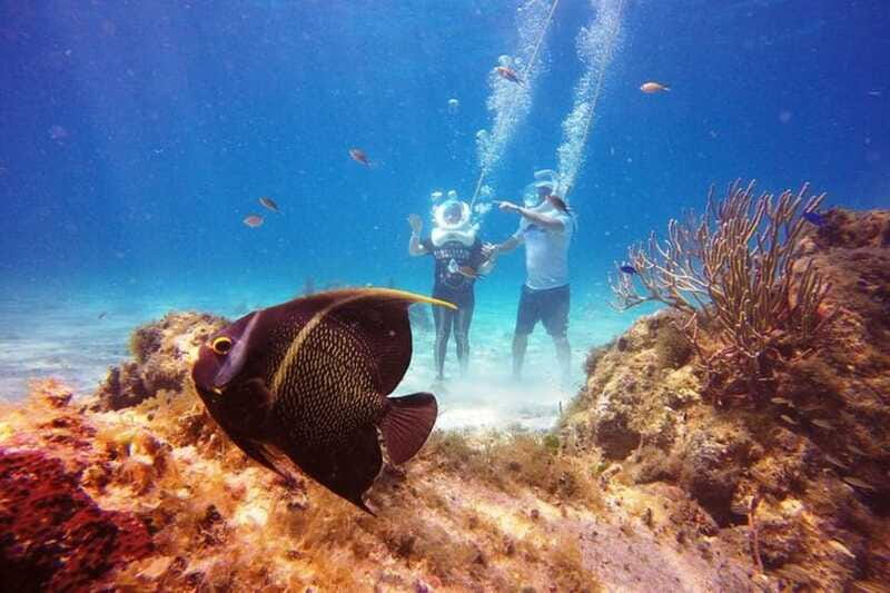 Cozumel: Sea Trek Adventure at Chankanaab National Park - What I’d watch for on the day
