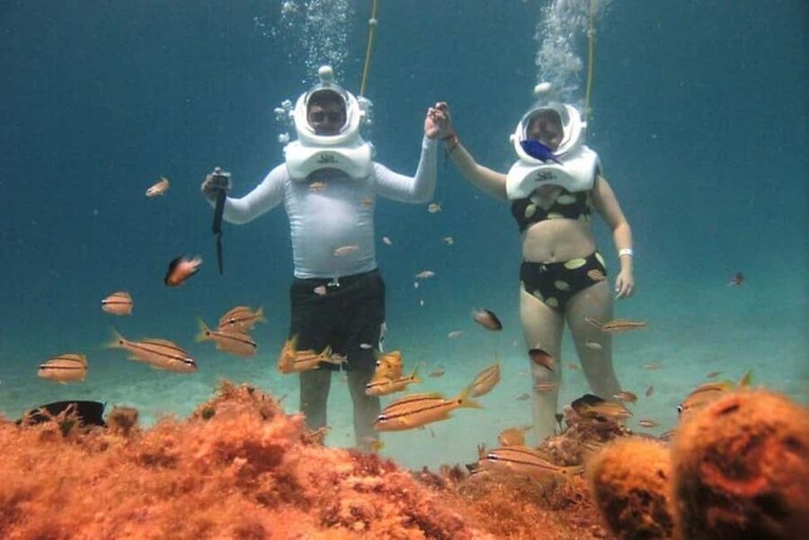 Cozumel: Sea Trek Adventure at Chankanaab National Park - Chankanaab National Park: what you’ll see under the helmet