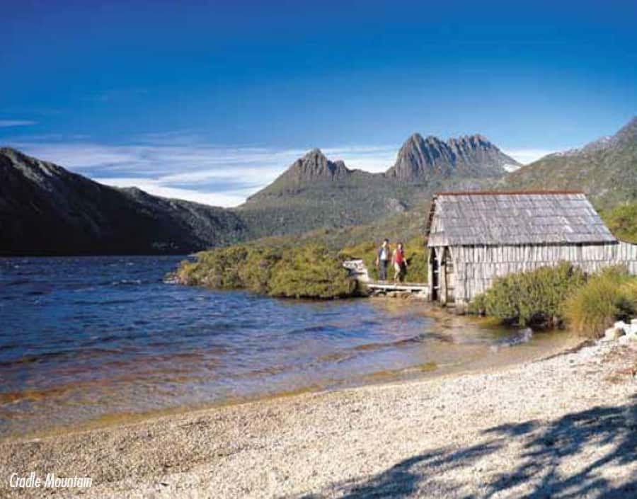 Cradle Mountain National Park by Coach from Launceston - Great Western Tiers to Cethana Dam: the road to wildlife spotting