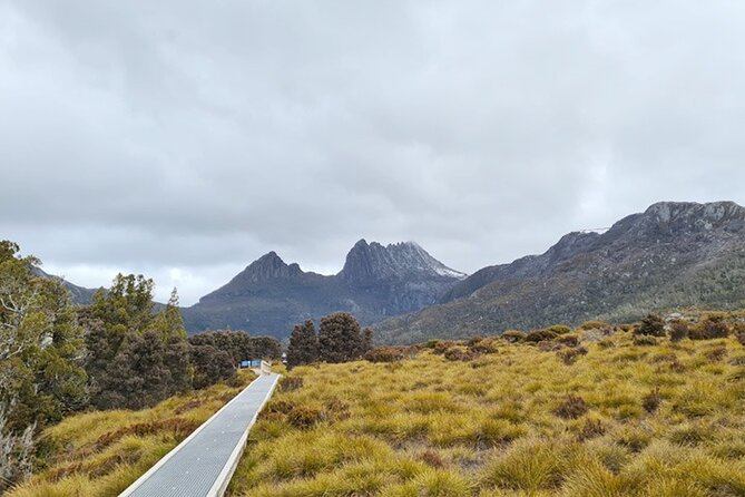 Cradle Mountain National Park Day Tour from Launceston - Key highlights worth planning around
