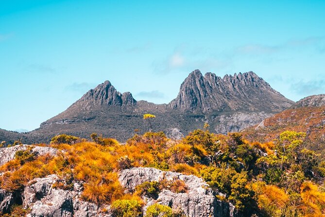 Cradle Mountain National Park Day Tour from Launceston - Price and logistics: what you’re paying for at $139.86