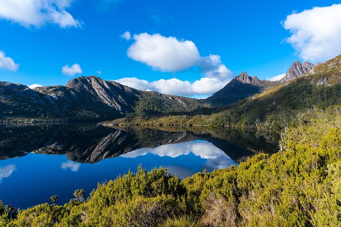 Cradle Mountain National Park Day Tour from Launceston - Weindorfers Forest walking: the nature break between big viewpoints
